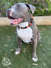 Load image into Gallery viewer, Jack O' Lantern Bead Collar
