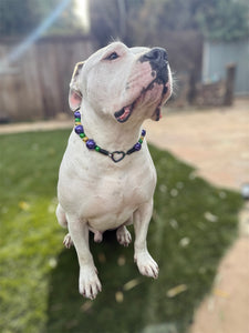 Jumbo Mardi Gras Bead Collar