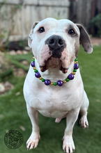 Load image into Gallery viewer, Jumbo Mardi Gras Bead Collar