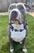 Load image into Gallery viewer, Jumbo Mardi Gras Bead Collar