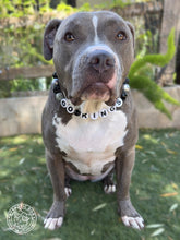 Load image into Gallery viewer, 🏒 Los Angeles Kings NHL Inspired Bead Collar