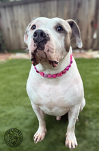 Load image into Gallery viewer, Kiss Me 💋 Bead Collar