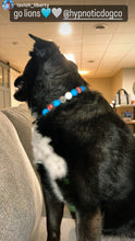 Load image into Gallery viewer, Detroit Lions NFL Inspired 🏈 Bead Collar