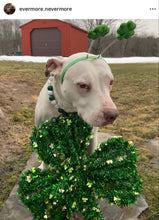 Load image into Gallery viewer, Luck of the Irish Bead Collar