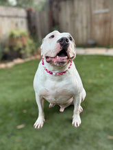 Load image into Gallery viewer, Magenta Pop Bead Collar