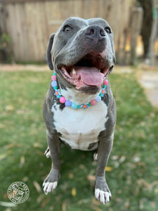 Miami Star ⭐️ Bead Collar