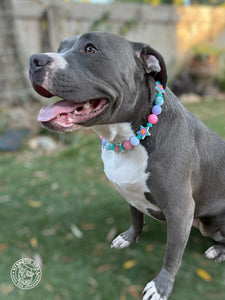 Miami Star ⭐️ Bead Collar