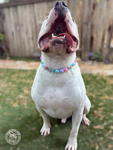 Load image into Gallery viewer, Miami Star ⭐️ Bead Collar