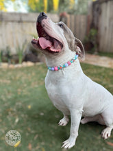 Load image into Gallery viewer, Miami Star ⭐️ Bead Collar