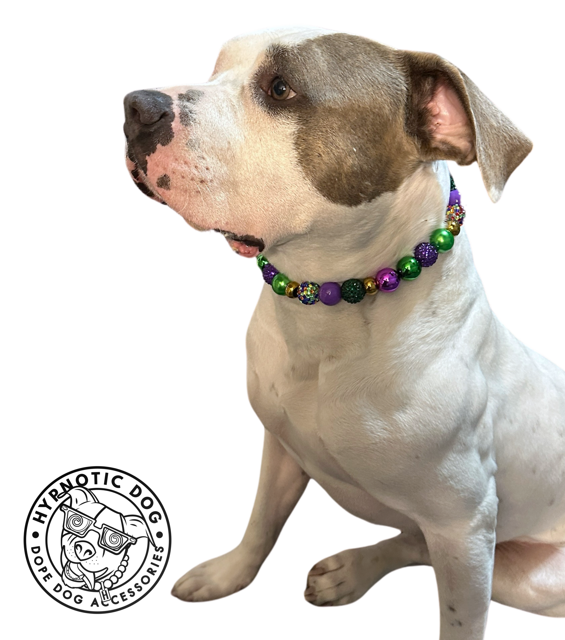 Mardi Gras ✨ Bead Collar – Hypnotic Dog