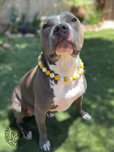 Load image into Gallery viewer, Marigold Bead Collar