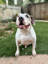 Load image into Gallery viewer, Medium White Mocha Swirl Acrylic Bead Collar