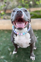 Load image into Gallery viewer, Mermaid Cove 🧜‍♀️ Bead Collar