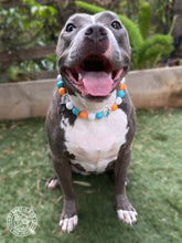 Load image into Gallery viewer, Miami Dolphins 🐬 NFL Inspired 🏈 Bead Collar