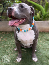 Load image into Gallery viewer, Miami Dolphins 🐬 NFL Inspired 🏈 Bead Collar