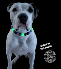 Load image into Gallery viewer, Midnight Cauldron Halloween Glow Bead Collar