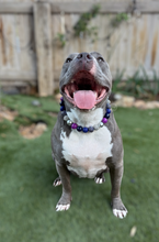 Load image into Gallery viewer, Midnight Cosmos Acrylic Bead Collar