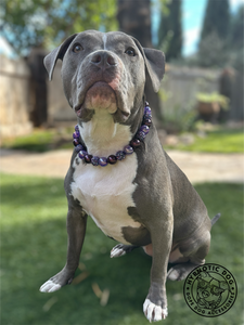 Midnight Purple Glam Bead Collar