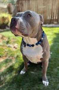 Midnight Snowfall ❄️ Bead Collar