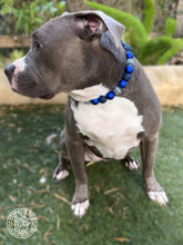 Load image into Gallery viewer, Midnight Sparkle Bead Collar