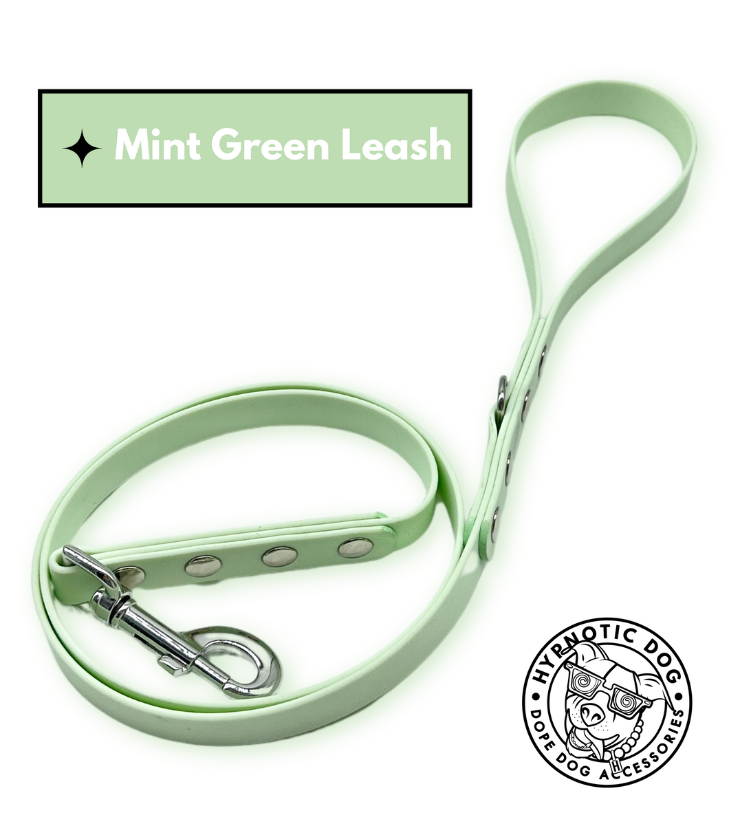 Mint Green Leash ◻️