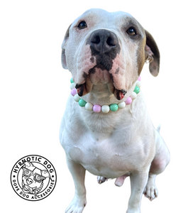 Minty Sweet Acrylic Bead Collar