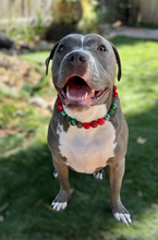 Load image into Gallery viewer, Mistletoe Glam Bead Collar