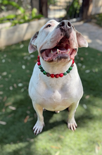 Load image into Gallery viewer, Mistletoe Glam Bead Collar