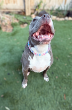 Load image into Gallery viewer, Moonbeam Acrylic Bead Collar