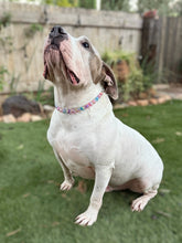 Load image into Gallery viewer, Moonbeam Acrylic Bead Collar