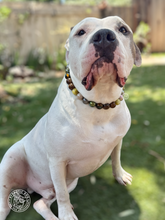 Load image into Gallery viewer, Mossy Meadow Bead Collar