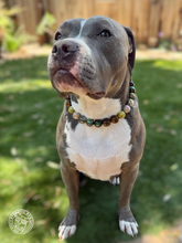 Load image into Gallery viewer, Mossy Meadow Bead Collar