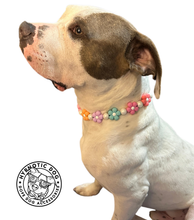Load image into Gallery viewer, 🌼 Multicolor Daisies 🌼 Silicone Bead Collar