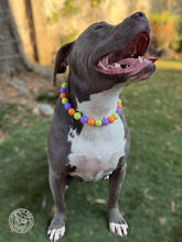 Load image into Gallery viewer, Mystery Machine Acrylic Bead Collar