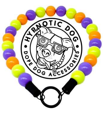 Mystery Machine Acrylic Bead Collar
