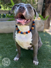 Load image into Gallery viewer, Navy &amp; Ember Acrylic Bead Collar