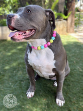 Load image into Gallery viewer, Neon Candyland Bead Collar