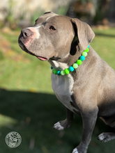 Load image into Gallery viewer, Neon Tropic Glow Acrylic Bead Collar