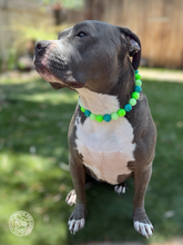Load image into Gallery viewer, Neon Tropic Glow Acrylic Bead Collar