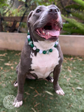 Load image into Gallery viewer, New York Jets NFL Inspired 🏈 Bead Collar