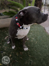 Load image into Gallery viewer, 🏒 New Jersey Devils NHL Inspired Bead Collar