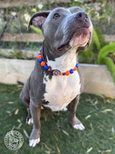 Load image into Gallery viewer, ⚾️ New York Mets MLB Inspired Bead Collar
