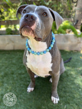 Load image into Gallery viewer, Ocean Ceramic Bead Collar