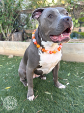 Load image into Gallery viewer, Orange Glitter Supernova Bead Collar