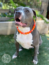 Load image into Gallery viewer, Orange Ombre Acrylic Bead Collar