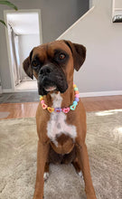 Load image into Gallery viewer, PERSONALIZED Candy Sweetheart Bead Collar
