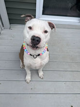 Load image into Gallery viewer, PERSONALIZED Candy Sweetheart Bead Collar