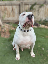 Load image into Gallery viewer, Panda 🐼 Bead Collar