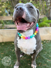 Load image into Gallery viewer, Paradise Rainbow 🌈🩷 Bead Collar