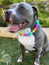Load image into Gallery viewer, Paradise Rainbow 🌈🩷 Bead Collar